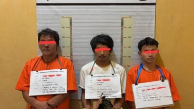 Polres Tapteng Ringkus Tiga Pengedar Ganja, Sita 900 Gram Barang Bukti