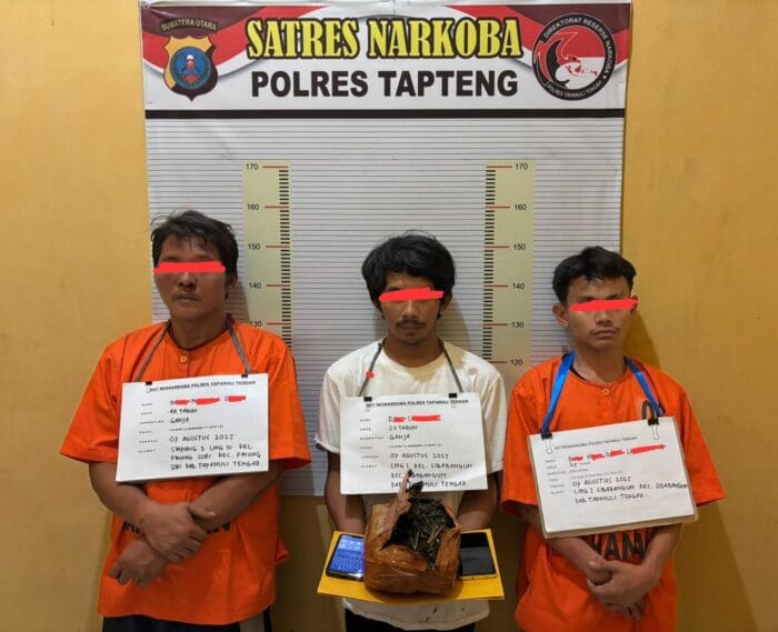 Polres Tapteng Ringkus Tiga Pengedar Ganja, Sita 900 Gram Barang Bukti