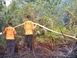 BPBD Tapteng Bersama Masyarakat Berhasil Padamkan Karhutla di Kelurahan Tapian Nauli