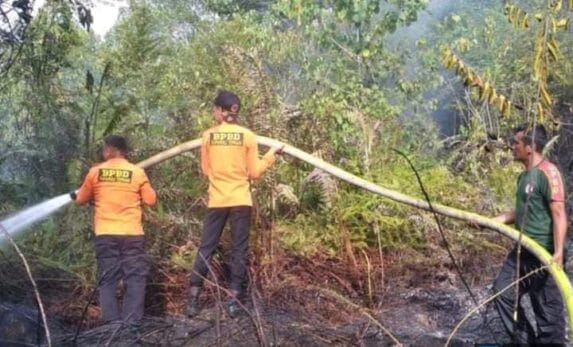 BPBD Tapteng Bersama Masyarakat Berhasil Padamkan Karhutla di Kelurahan Tapian Nauli