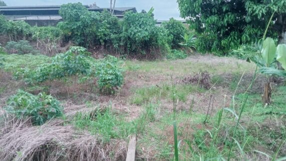 Pembangunan Tembok Penahan Tanah dan Pembuatan Saluran Air di TPU Dusun lV Terealisasi 