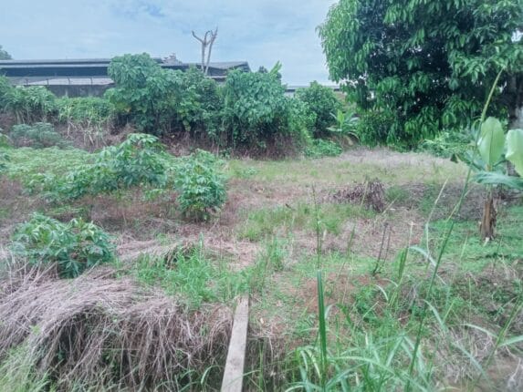 Pembangunan Tembok Penahan Tanah dan Pembuatan Saluran Air di TPU Dusun lV Terealisasi 