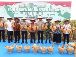Panen Raya Jagung Kuartal III: Polda Sumut Komitmen Wujudkan Swasembada Pangan