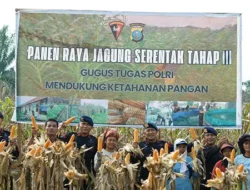 Brimob Polda Sumut Panen Raya Bersama Petani