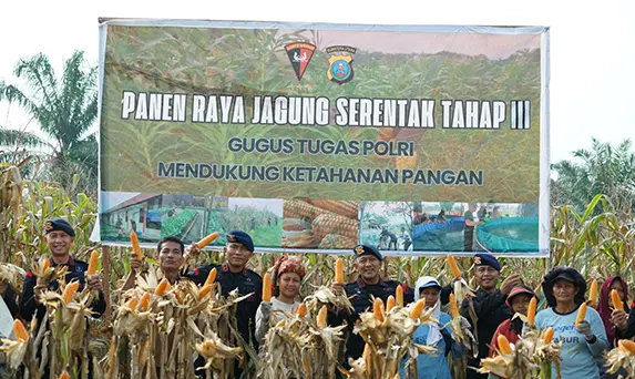 Brimob Polda Sumut Panen Raya Bersama Petani