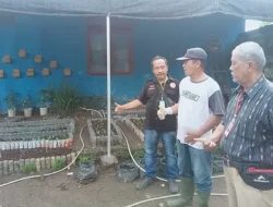 Desa Candirejo Kecamatan Biru-biru Jadi Percontohan Bercocok Tanam Palawija