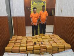 Timsus Ditresnarkoba Polda Sumut Gagalkan Peredaran 255 Kg Ganja Asal Aceh
