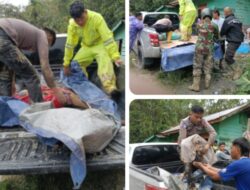 Penanganan Cepat Bencana Taput: 9 Warga Ditemukan Meninggal, 31 Masih Dicari, 134 Mengungsi