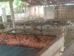 Polsek Biru Biru Respon Cepat Lakukan Patroli di Lapak Judi Sabung Ayam 