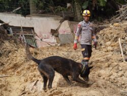 Tim K-9 Polri Berhasil Temukan Titik Diduga Lokasi Korban