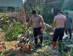 Brimob Sumut Hadir Lindungi Warga, Ancaman Pohon Mati Ditangani Pascabencana Batang Toru