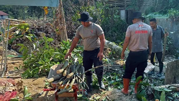 Brimob Sumut Hadir Lindungi Warga, Ancaman Pohon Mati Ditangani Pascabencana Batang Toru