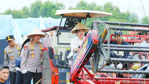 Polda Sumut dan Polres Jajaran Ikuti Panen Raya Jagung Serentak Polri