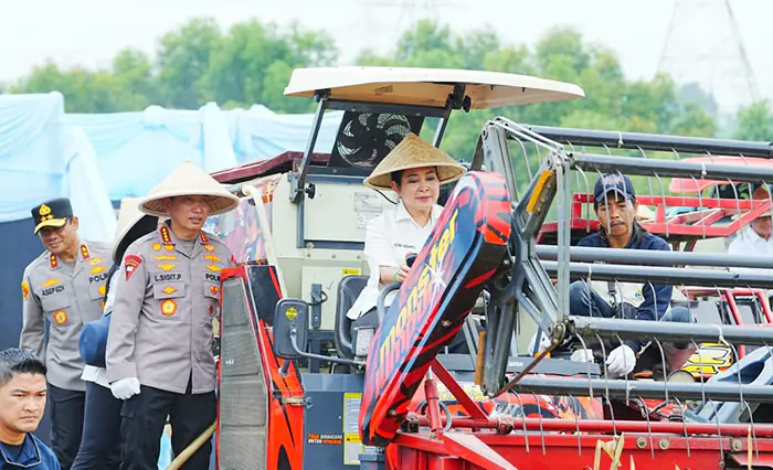 Polda Sumut dan Polres Jajaran Ikuti Panen Raya Jagung Serentak Polri