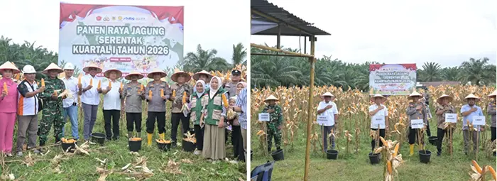 Polres Labusel Gelar Panen Raya Jagung Serentak Kuartal I 2026 di Sungai Kanan