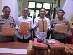 Satres Narkoba Polres Labusel Ungkap 27,869 Gram Ganja, Satu Buruh Asal Padang Ditangkap