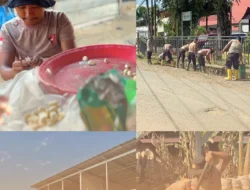 Brimob Sumut Kawal Huntara, Lingkungan Batang Toru Kembali Tertata