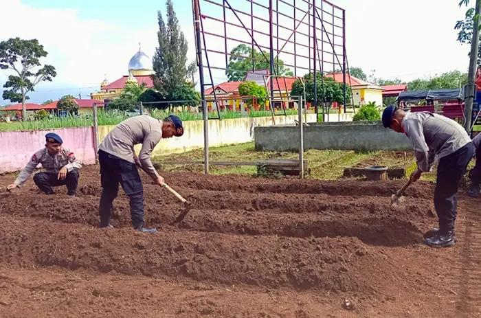 Dari Lahan Kosong Jadi Sumber Pangan, Brimob Sumut Kembangkan P2L di Batalyon C
