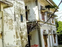 Dinding Kantor Wali Kota Sabang Jorok, Ditumbuhi Pohon dan Plafon Bolong