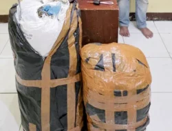 Ditresnarkoba Polda Sumut Gagalkan Peredaran 20 Kg Ganja Asal Aceh