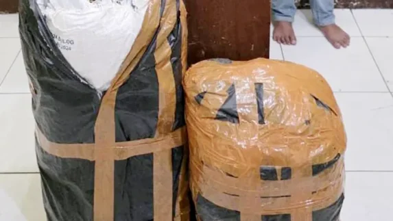 Ditresnarkoba Polda Sumut Gagalkan Peredaran 20 Kg Ganja Asal Aceh