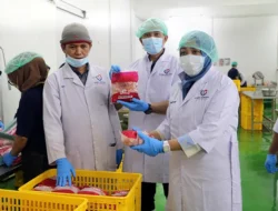 Satgas Pangan Polda Sumut Pastikan Stok Daging Ayam Aman Jelang Ramadan Hingga Idul Fitri