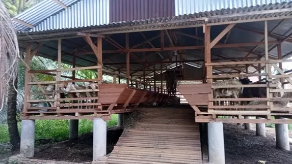 Masyarakat Minta Kejari dan Inspektorat Deliserdang Lakukan Audit Dana BUMDes Candi Rejo