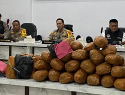 Polres Madina Rilis 11 Kasus Narkotika Selama Februari 2026, 15 Tersangka Diamankan