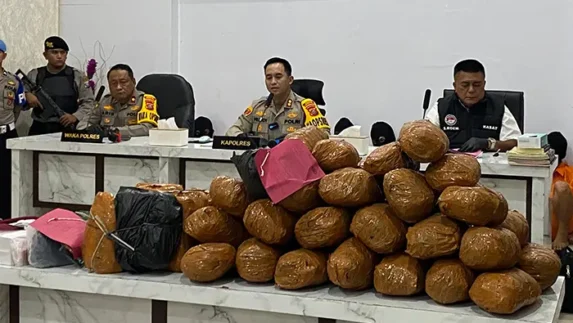 Polres Madina Rilis 11 Kasus Narkotika Selama Februari 2026, 15 Tersangka Diamankan