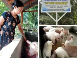 Desa Namo Mbaru Jadi Percontohan, Pengelolaan BUMDes Berjalan Sukses