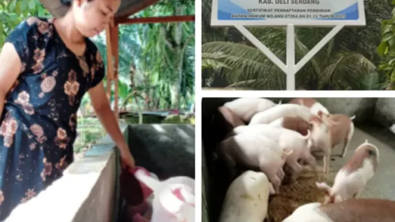 Desa Namo Mbaru Jadi Percontohan, Pengelolaan BUMDes Berjalan Sukses