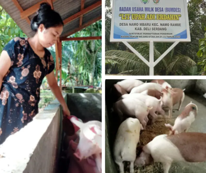 Desa Namo Mbaru Jadi Percontohan, Pengelolaan BUMDes Berjalan Sukses