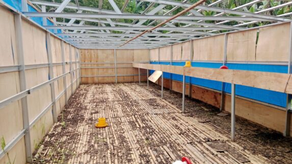 Kandang Ayam BUMDes Jaba Rusak Parah, Akhirnya Direspons Serius Bupati Deliserdang