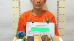 Polres Tapteng Ringkus Kongo Pengedar Paket Lengkap Ganja dan Sabu di Lubuk Tukko