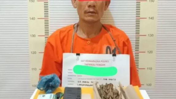 Polres Tapteng Ringkus Kongo Pengedar Paket Lengkap Ganja dan Sabu di Lubuk Tukko