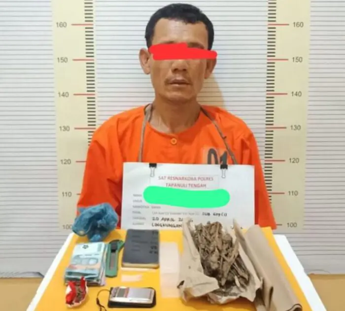 Polres Tapteng Ringkus Kongo Pengedar Paket Lengkap Ganja dan Sabu di Lubuk Tukko
