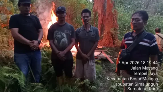 Polsek Bosar Maligas Gerebek dan Bakar Sarang Pengguna Narkoba di Perladangan