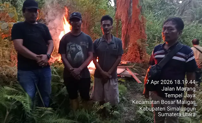 Polsek Bosar Maligas Gerebek dan Bakar Sarang Pengguna Narkoba di Perladangan
