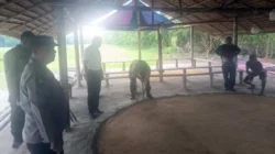 Polsek Kutalimbaru Gerebek Lokasi Diduga Judi Sabung Ayam di Suka Rende, Hasilnya Nihil