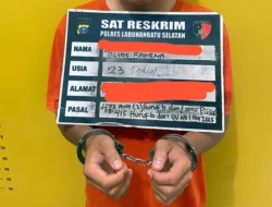 Satreskrim Polres Labusel Ungkap Kasus Pencabulan Anak di Kotapinang