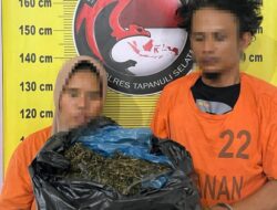 Satresnarkoba Polres Tapsel Gagalkan Peredaran 3 Kg Ganja