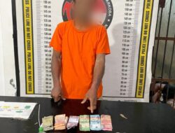Sempat Melawan Pakai Gunting, Pengedar Sabu Diringkus Polisi di Kebun Sawit Raya Kahean