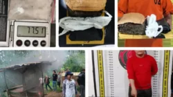 5 Hari Tanpa Henti, Polda Sumut Ringkus 342 Pelaku Narkoba dan Gempur 57 Sarang Peredaran
