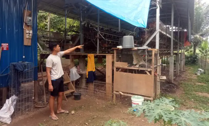 BUMDes Sidomulyo Sukses Budidayakan Ayam Petelur, Kini Jadi Percontohan