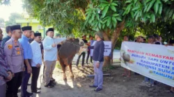Bupati Baharuddin Apresiasi Bantuan Hewan Kurban Presiden Prabowo untuk Masyarakat Batu Bara