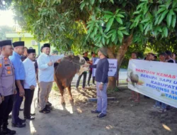 Bupati Baharuddin Apresiasi Bantuan Hewan Kurban Presiden Prabowo untuk Masyarakat Batu Bara