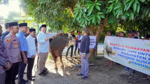 Bupati Baharuddin Apresiasi Bantuan Hewan Kurban Presiden Prabowo untuk Masyarakat Batu Bara