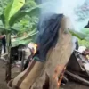 Ditresnarkoba Polda Sumut Bongkar Barak Narkoba di Tanjung Morawa, Kurir Sabu Ditangkap