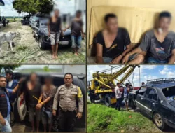 Dua Pencuri Anak Lembu di Simalungun Dibekuk Usai Kabur Pakai Sedan dan Tabrak Pemotor