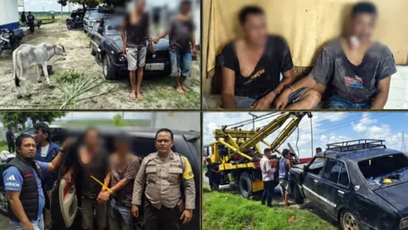 Dua Pencuri Anak Lembu di Simalungun Dibekuk Usai Kabur Pakai Sedan dan Tabrak Pemotor